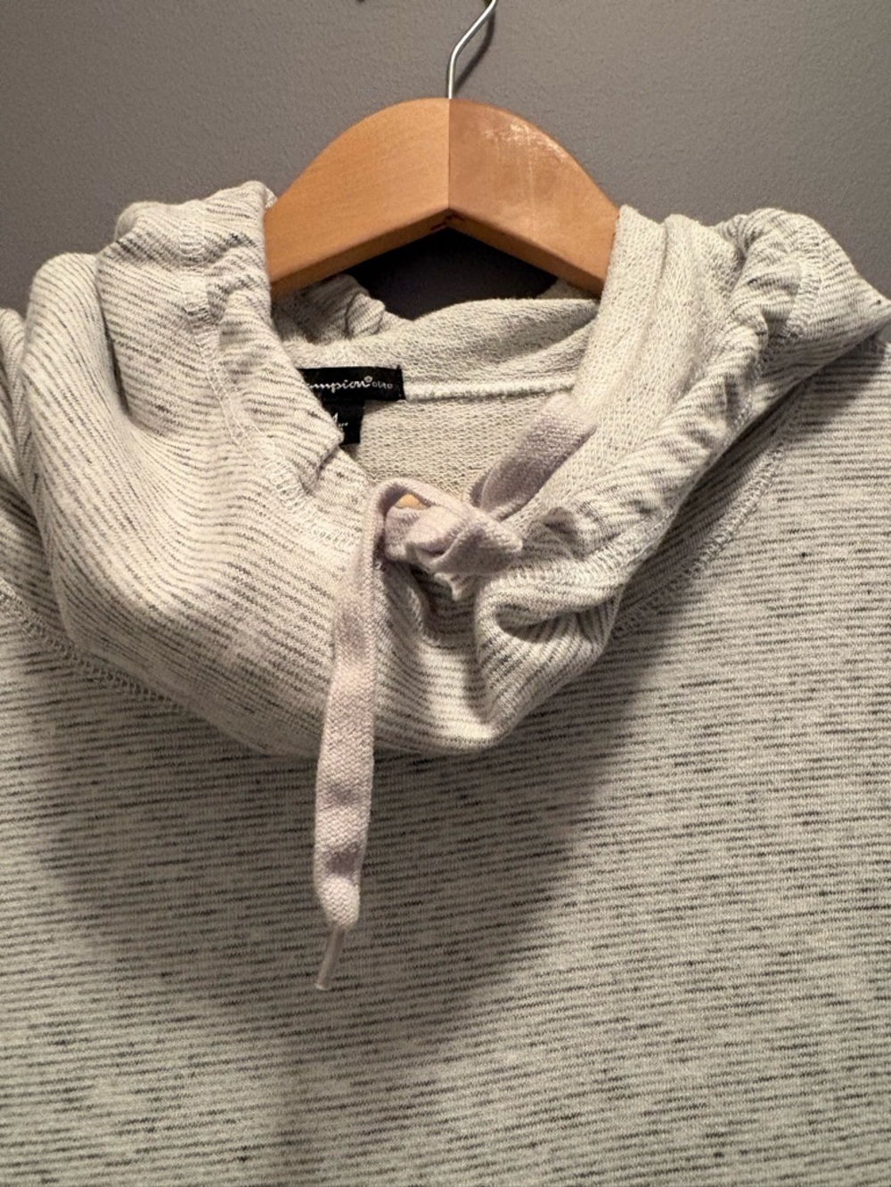 Champion Women's Light Gray Hooded Pullover Sweatshirt - Picture 2 of 9